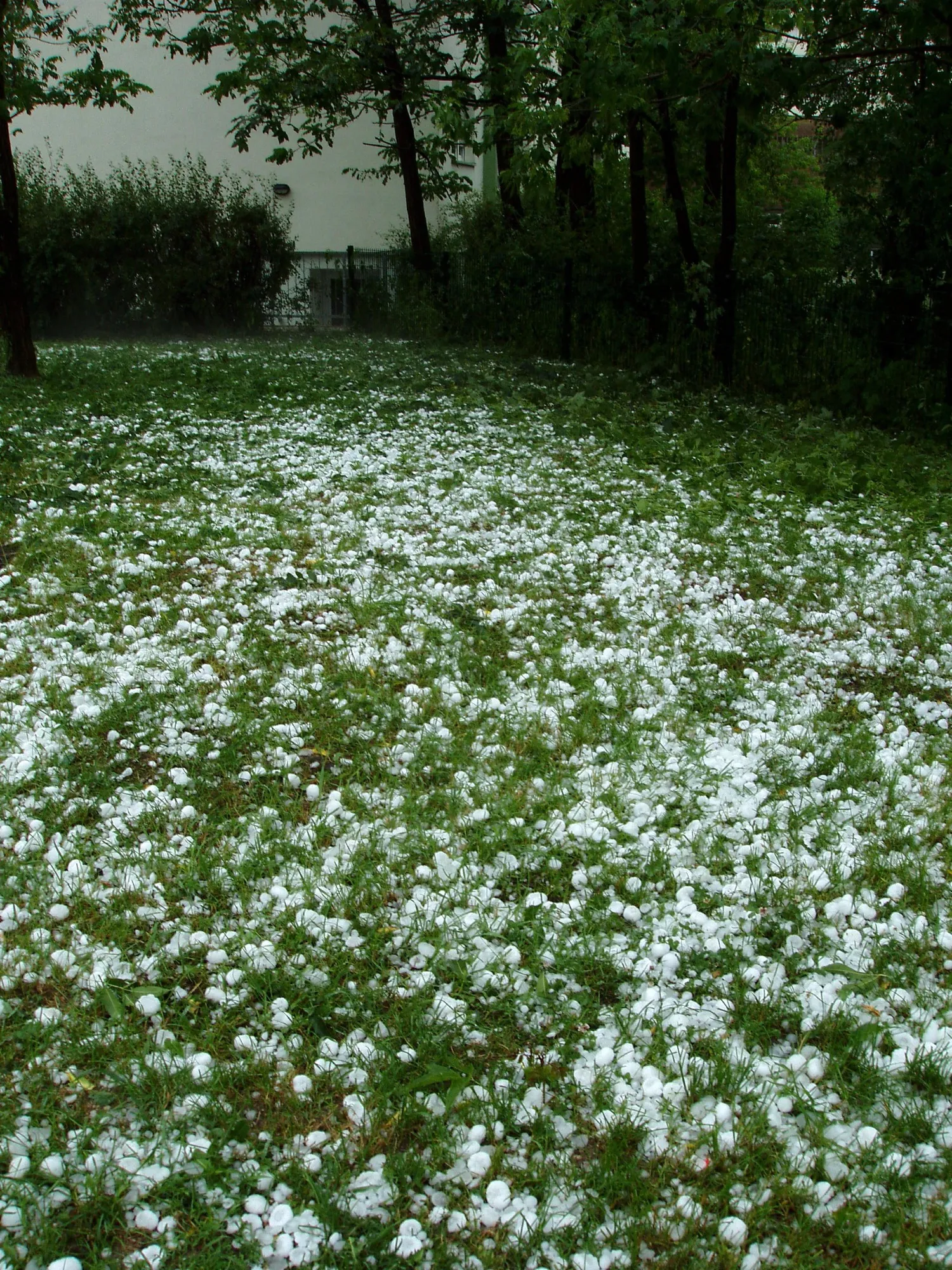 A lawn covered in hailstones after a storm