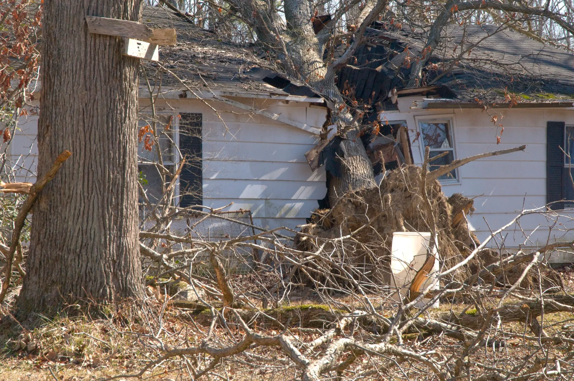 A fallen tree crushing the front of a house